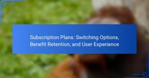 Subscription Plans: Switching Options, Benefit Retention, and User Experience