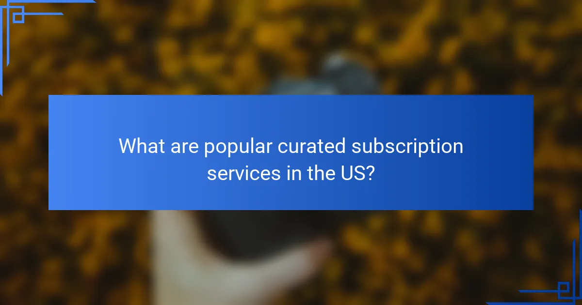 What are popular curated subscription services in the US?