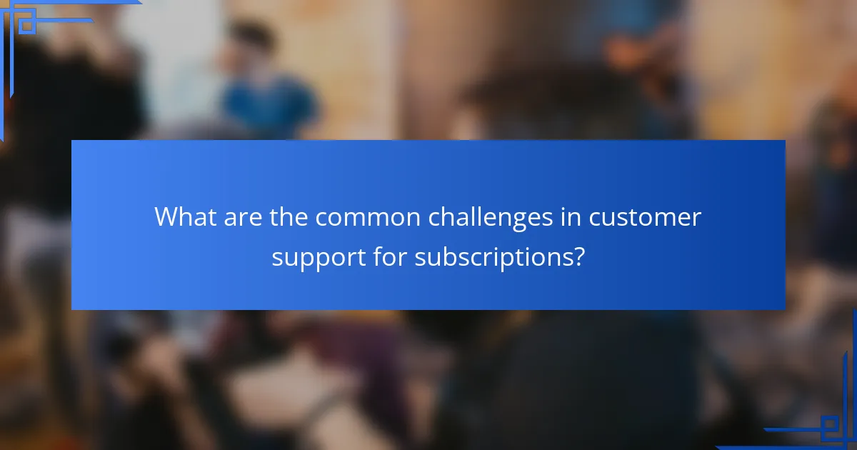 What are the common challenges in customer support for subscriptions?
